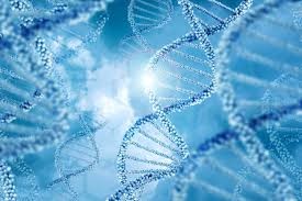 Upgrade deiner DNA